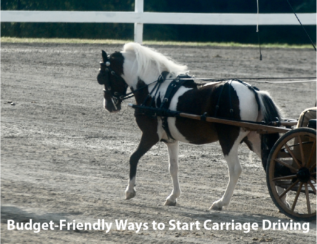 Budget-Friendly Ways to Start Carriage Driving Budget-Friendly Ways to Start Carriage Driving