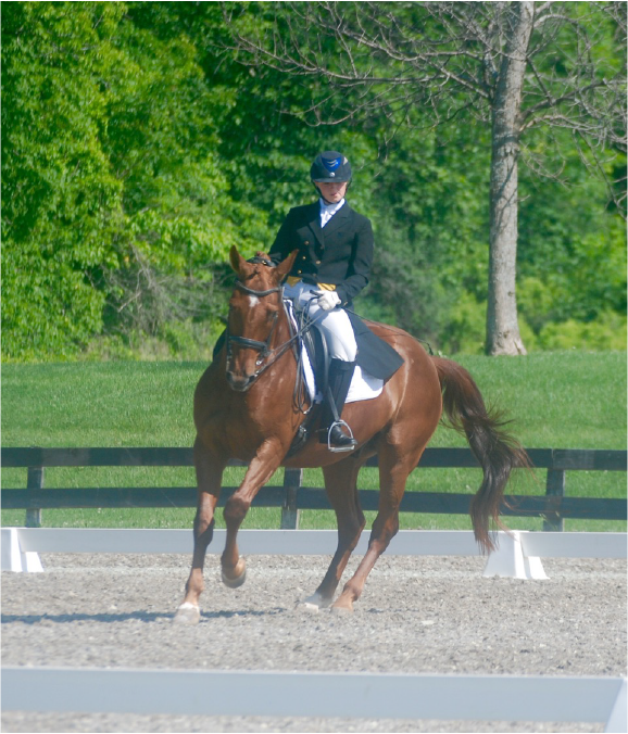 Canter Pirouette