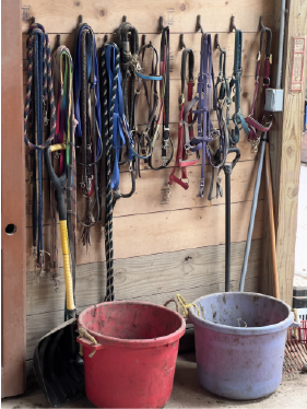 Halter, Ropes & Buckets