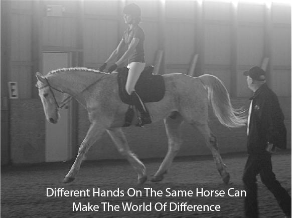 Different Hands On The Same Horse Can Make The World Of Difference 