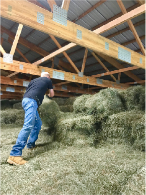 Farmer Stacking Hay