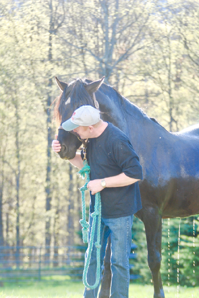 How To Attain True Connection With Your Dressage Horse 