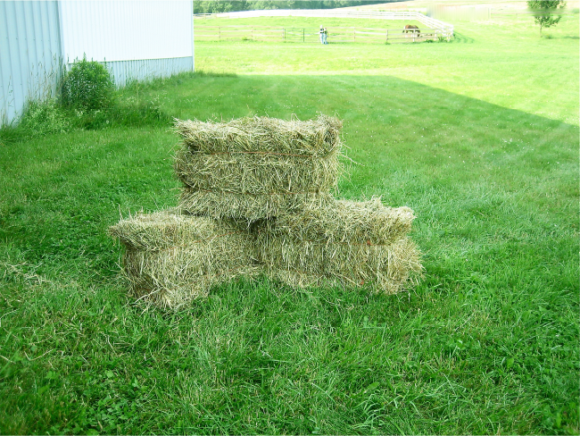 Haymaking and Hay Buying For Horses Hay Bales