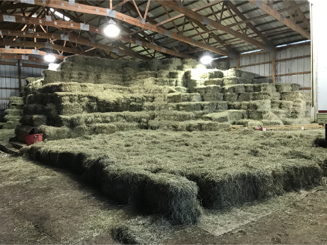 Haymaking and Hay Buying For Horses Haystack