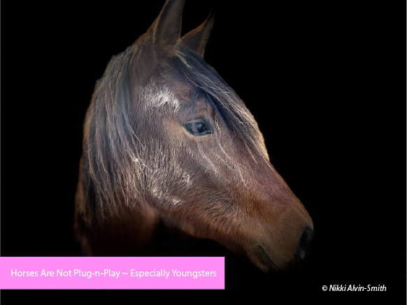 Horses Are Not Plug-n-Play ~ Especially Youngsters