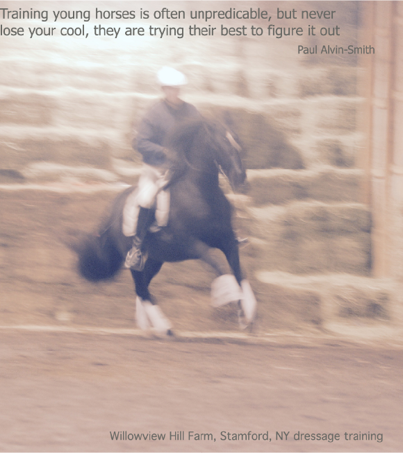 horses-are-not-plug-n-play-especially-youngsters Paul training a young ANCCE stallion at WVH