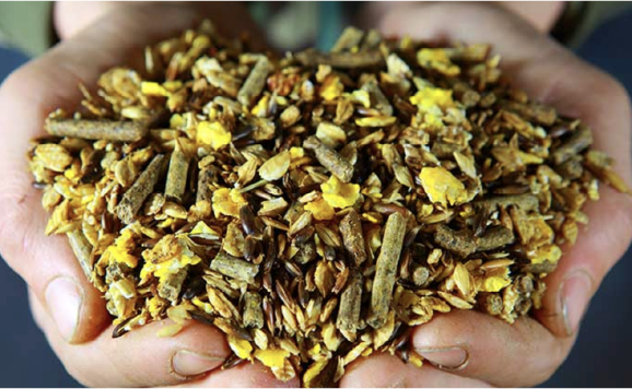 Hot Topics -
Should You Stop Feeding Grain To Your Horse?
And What Is Causing Those Ulcers and Leaky Gut Syndrome? Grains