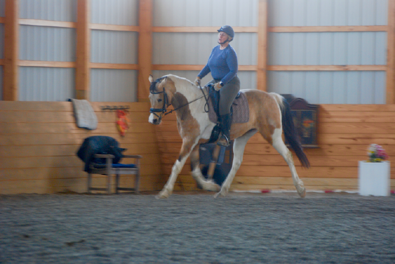 How To Find The Energy To Stick With Horses As You Age Up Participate in a Clinic