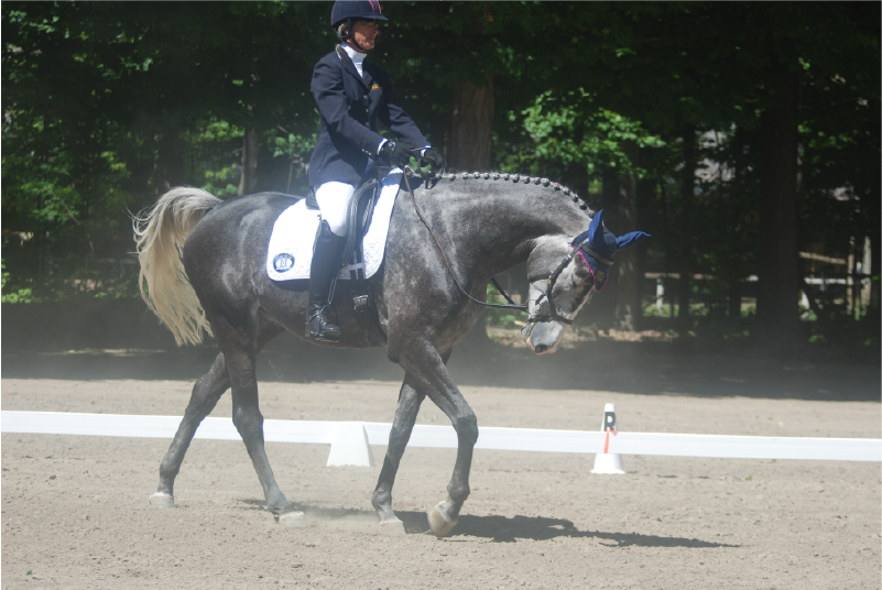 How To Find The Energy To Stick With Horses As You Age Up How To Find The Energy To Stick With Horses As You Age Up