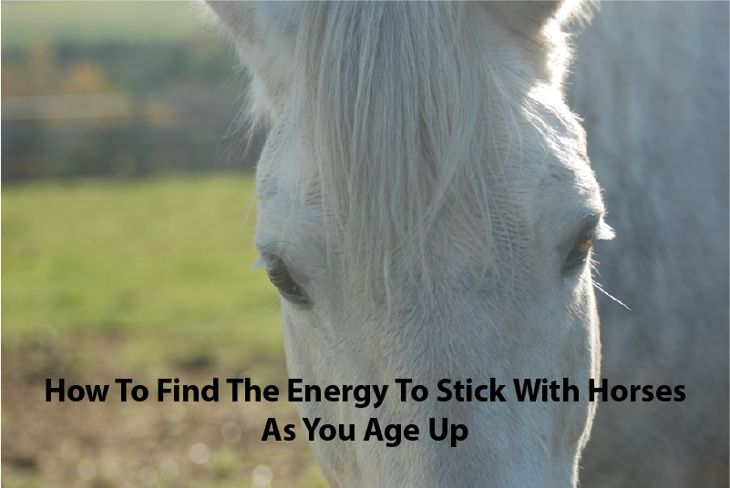 How To Find The Energy To Stick With Horses As You Age Up How To Find The Energy To Stick With Horses As You Age Up