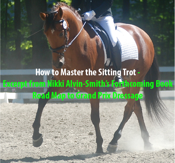 How to Master the Sitting Trot -
Excerpt from Nikki Alvin-Smith’s Forthcoming Book
Road Map to Grand Prix Dressage
