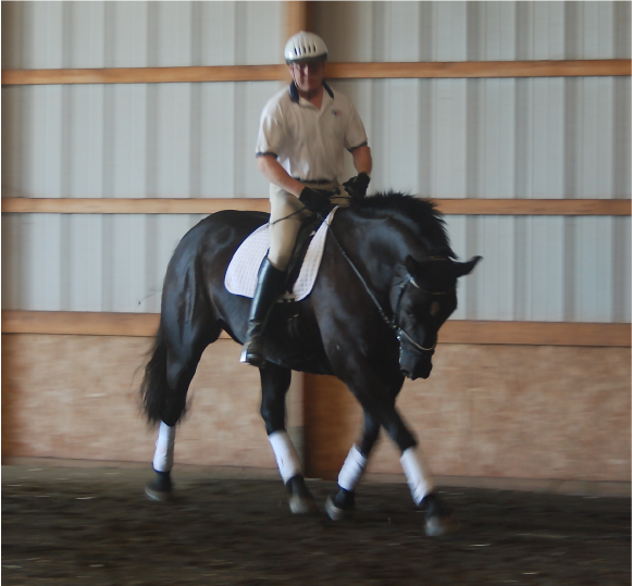 Make a Road Map to Succeed in Dressage Make a Road Map to Succeed in Dressage