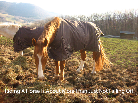 Riding A Horse Is About More Than Just Not Falling Off Riding A Horse Is About More Than Just Not Falling Off