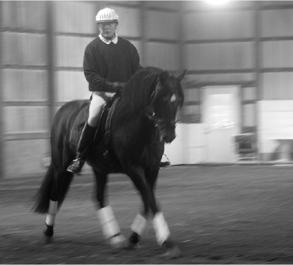 Schooling The Dressage Horse