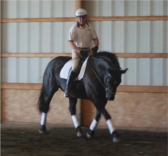 Simple Keys to Unlock Resistance in Dressage Training Leg Aids to Match You Ask?