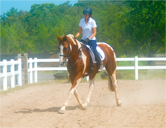Simple Keys to Unlock Resistance in Dressage Training Simple Keys to Unlock Resistance in Dressage Training