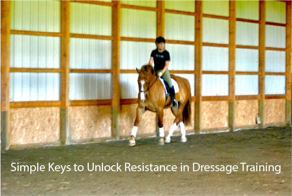 Simple Keys to Unlock Resistance in Dressage Training Simple Keys to Unlock Resistance in Dressage Training