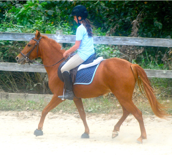 Simple Solutions to Pony Problems