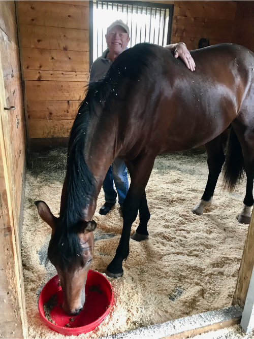 How To Attain True Connection With Your Dressage Horse 