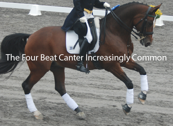 The Four Beat Canter Increasingly Common Rarely do you see a 4 beat canter during a victory lap