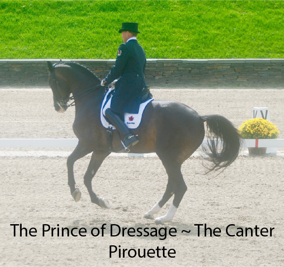  The Canter Pirouette
