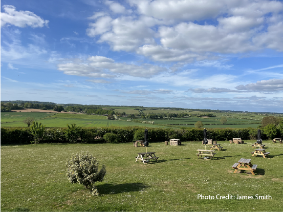 View from the Terrace
