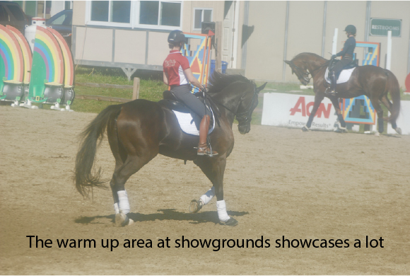 The Four Beat Canter Increasingly Common The warm up area at showgrounds showcases a lot