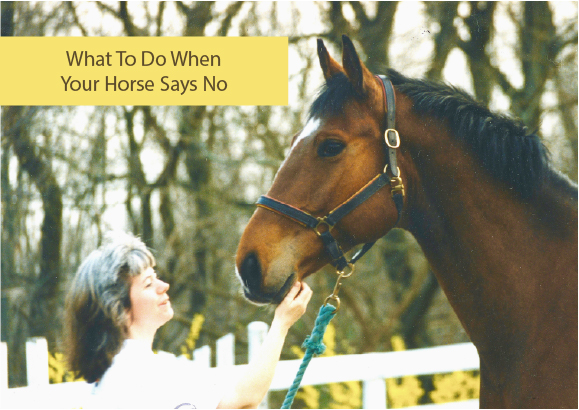 What To Do When Your Horse Says No