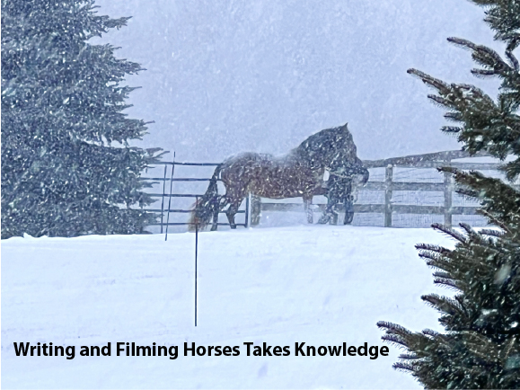 Writing and Filming Horses Takes Knowledge