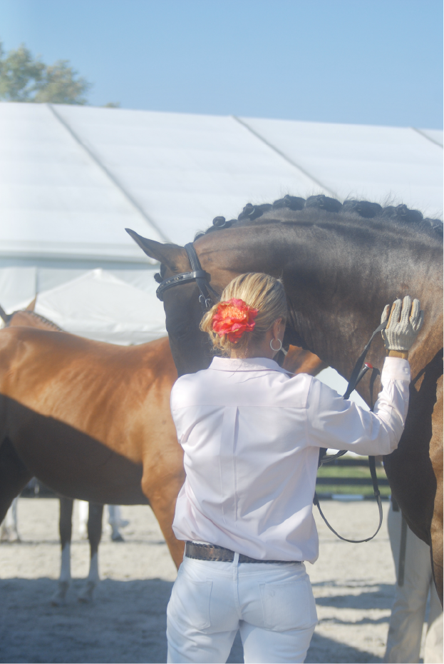 Your Horse. My Problem. Your Horse. My Problem.