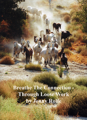 Breathe The Connection -
Through Loose Work
by Jenny Rolfe
