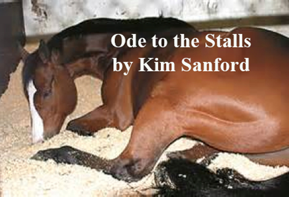 Ode to the Stalls
by Kim Sanford