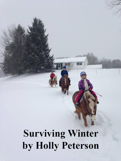 Surviving Winter
by Holly Peterson