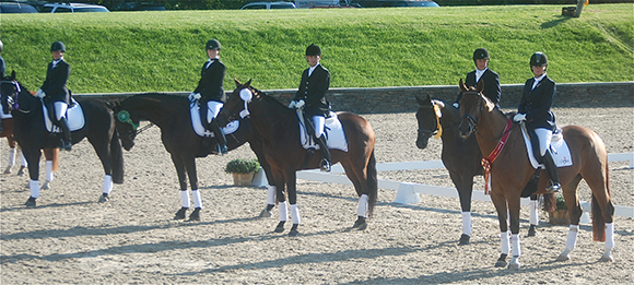 Debunking Myths About Equine Fecal Egg Count Efficacy in Horse Worm Control Programs By Nikki Alvin-Smith 