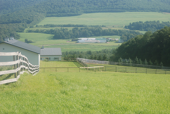 Parasites and Pasture Management