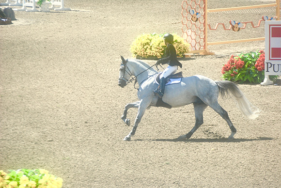 Horse Sales ~ Commissions and Omissions
By Nikki Alvin-Smith