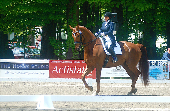 Classy Contender or …..? By Kim Sanford