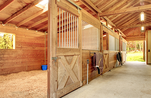 Smart Spring Cleaning Tips From Haygain US