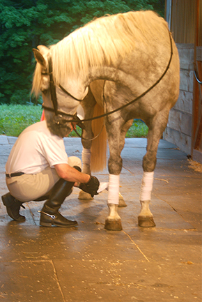 The Professional Equestrian’s Guide to Time Management
