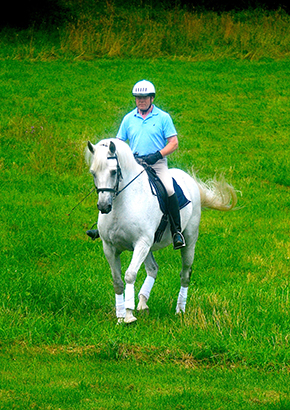 Lightness in Dressage 