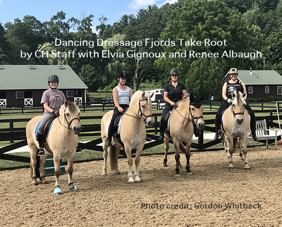 Dancing Dressage Fjords Take Root