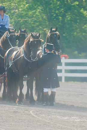 Everything You Do Matters With Horses