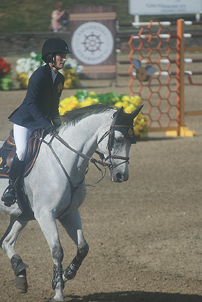 Can’t We All Get Along? By Kim Sanford