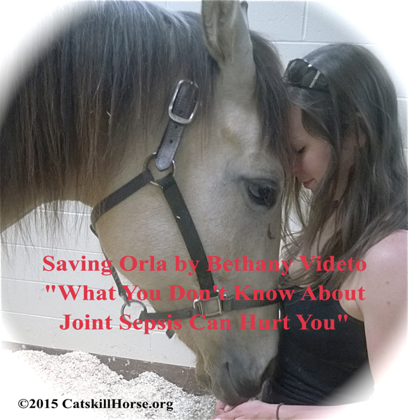 Saving Orla by Bethany Videto