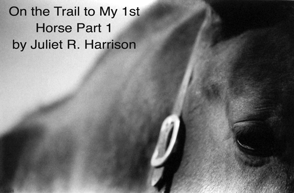 On the Trail to My 1st Horse Part 1
by Juliet R. Harrison