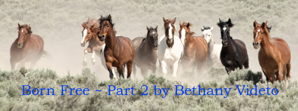 Born Free ~ Part 2 by Bethany Videto