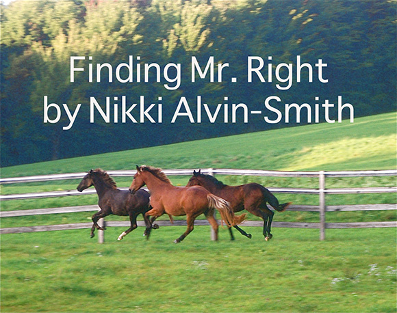 Finding Mr. Right
by Nikki Alvin-Smith
