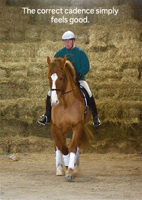 Cadence Matters
By Nikki Alvin-Smith