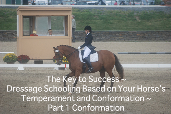 The Key to Success ~
Dressage Schooling Based on Your Horse’s Temperament and Conformation ~ Part 1 Conformation