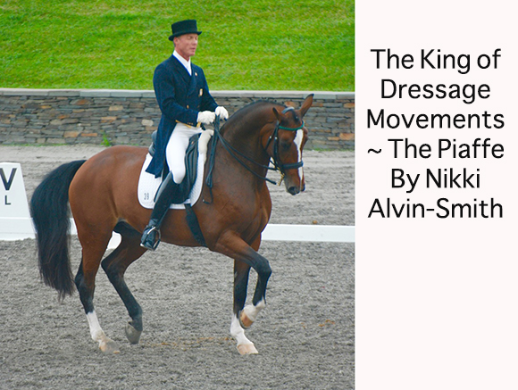 The King of Dressage Movements ~ The Piaffe
By Nikki Alvin-Smith